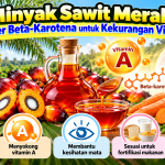 Minyak Sawit Merah: Sumber Beta-Karotena untuk Kekurangan Vitamin A a448c28f