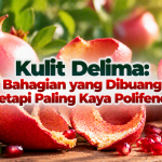 Kulit Delima: Bahagian yang Dibuang tetapi Paling Kaya Polifenol b9183a17