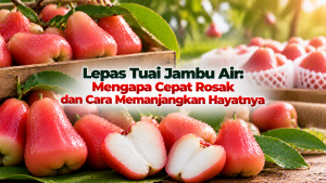 be92a433