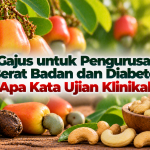 bef5cd07