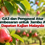 c07d62fa
