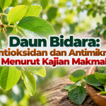 dede1b86