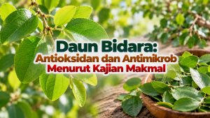 dede1b86