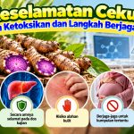 f781abdb