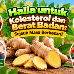 Halia untuk Kolesterol dan Berat Badan: Sejauh Mana Berkesan? image