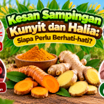 Kesan Sampingan Kunyit dan Halia: Siapa Perlu Berhati-hati? image