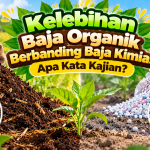 Kelebihan Baja Organik Berbanding Baja Kimia: Apa Kata Kajian? image