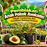 Pembiakan Anak Pokok Avokado: Teknik Cantuman dan Pemilihan Batang Penanti image