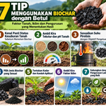7 Tip Menggunakan Biochar dengan Betul: Faktor Tanah, Iklim dan Pengurusan yang Menentukan Hasil image